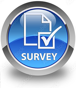 Survey Icon Image